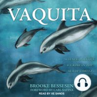 Vaquita