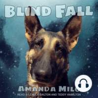 Blind Fall