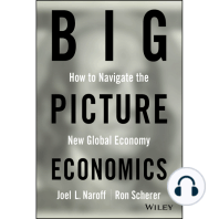 Big Picture Economics