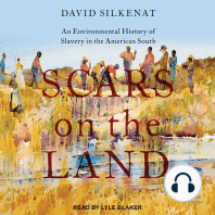 Scars on the Land