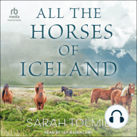 All the Horses of Iceland