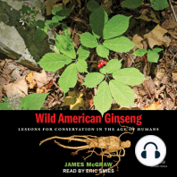 Wild American Ginseng