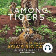 Among Tigers