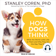 How Dogs Think: What the World Looks Like to Them and Why They Act the Way They Do