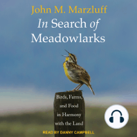 In Search of Meadowlarks