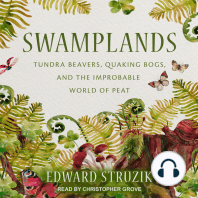 Swamplands
