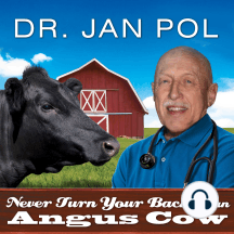 Never Turn Your Back on an Angus Cow by David Fisher, Jan Pol