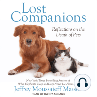 Lost Companions