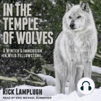 In the Temple of Wolves