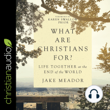 What Are Christians For?: Life Together at the End of the World
