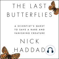 The Last Butterflies