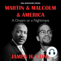 Martin & Malcolm & America