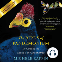 The Birds of Pandemonium