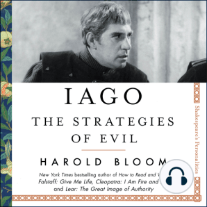 Iago: The Strategies of Evil