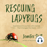 Rescuing Ladybugs