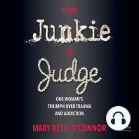 From Junkie to Judge