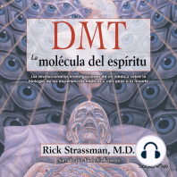 DMT: La molécula del espíritu (DMT: The Spirit Molecule): Las revolucionarias investigaciones de un medico sobre la biologia de las experiencias misticas y cercanas a la muerte