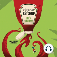 Proyecto Ketchup (Ketchup Project)