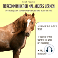 Tierkommunikation mal anders lernen