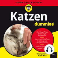 Katzen für Dummies