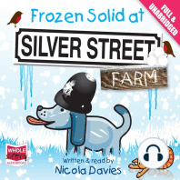 Frozen Solid at Silver Street Farm