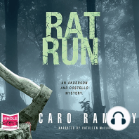 Rat Run