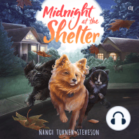 Midnight at the Shelter