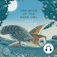The Book of the Barn Owl