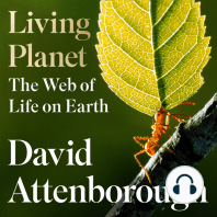 Living Planet