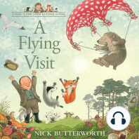 A Flying Visit