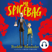 Mr Spicebag