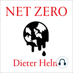 Net Zero: How We Stop Causing Climate Change