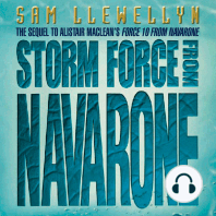 Storm Force from Navarone