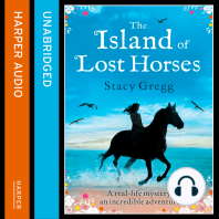 The Island of Lost Horses