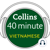 Vietnamese in 40 Minutes