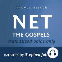 Audio Bible - New English Translation, NET