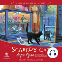 Scaredy Cat