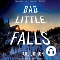 Bad Little Falls