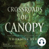 Crossroads of Canopy