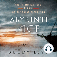 Labyrinth of Ice