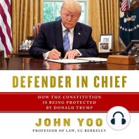 Defender in Chief