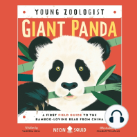 Giant Panda (Young Zoologist)