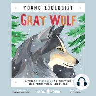 Gray Wolf (Young Zoologist)
