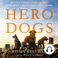 Hero Dogs