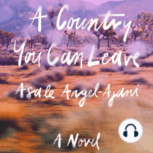 A Country You Can Leave: A Novel