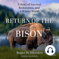 Return of the Bison