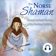 The Norse Shaman