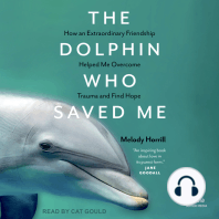 The Dolphin Who Saved Me