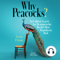 Why Peacocks?