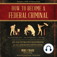 How to Become a Federal Criminal